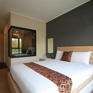 Suite con 1 camera da letto